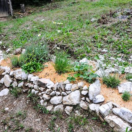 Gorska Hiska Vogar Nad Bohinjskim Jezerom Dış mekan fotoğraf