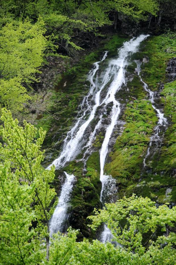 Gorska Hiska Vogar Nad Bohinjskim Jezerom Dış mekan fotoğraf